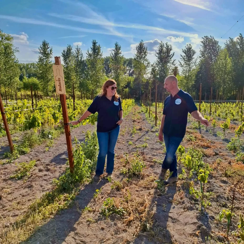 Les fondateurs du Domaine Nuits Blanches dans leur vignoble à Harmignies
